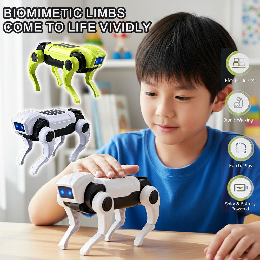 Science Project Diy - Brinquedo Robô Cão RC de Montagem
