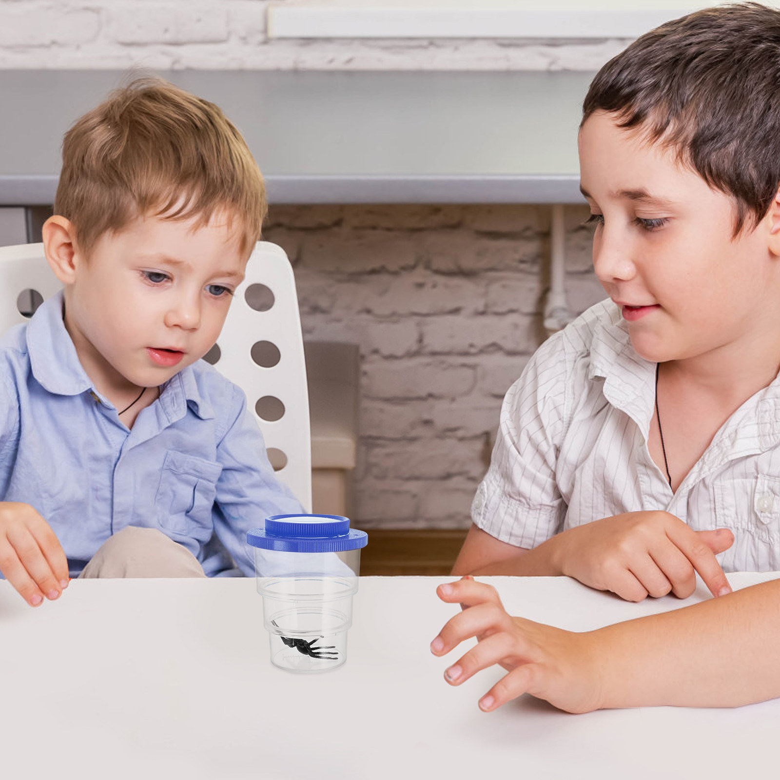 Caixa de observação de insetos - Science Toys avaliação e preço