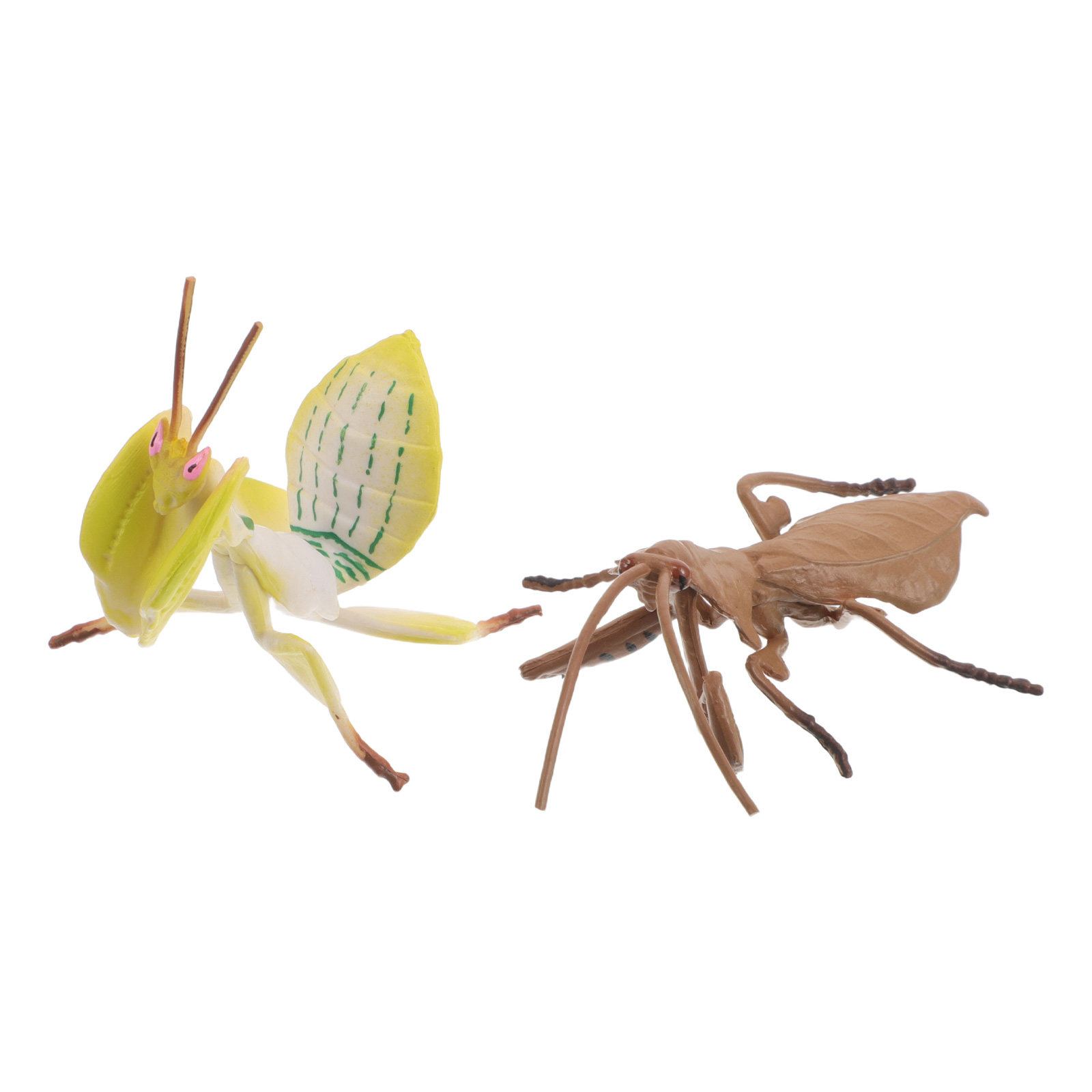 Modelos realistas de ladraças, - Science Toys avaliação e preço