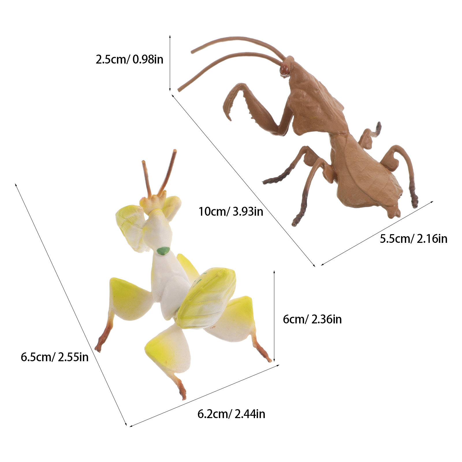 Modelos realistas de ladraças, - Science Toys avaliação e preço
