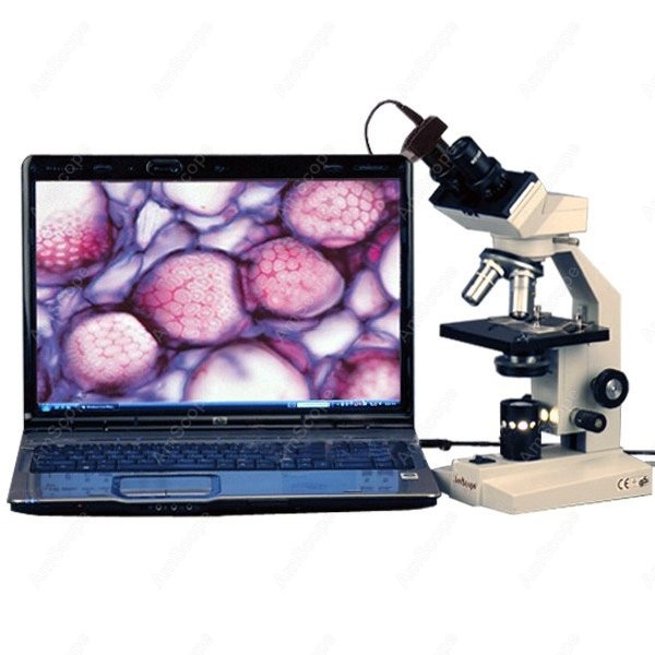 Microscópio Biológico Binocula - Amscope Microscope Compound 40X-1000X avaliação e preço